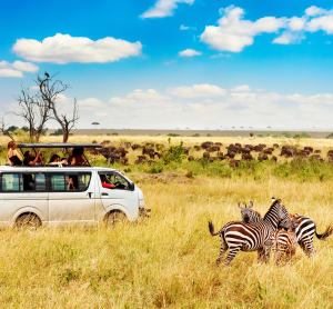 Safaribus in der Savanne neben Zebras, im Hintergrund eine gro&szlig;e B&uuml;ffelherde unter blauem Himmel.