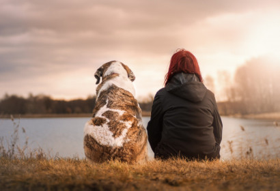 Bild Arcona Hostel On The Water